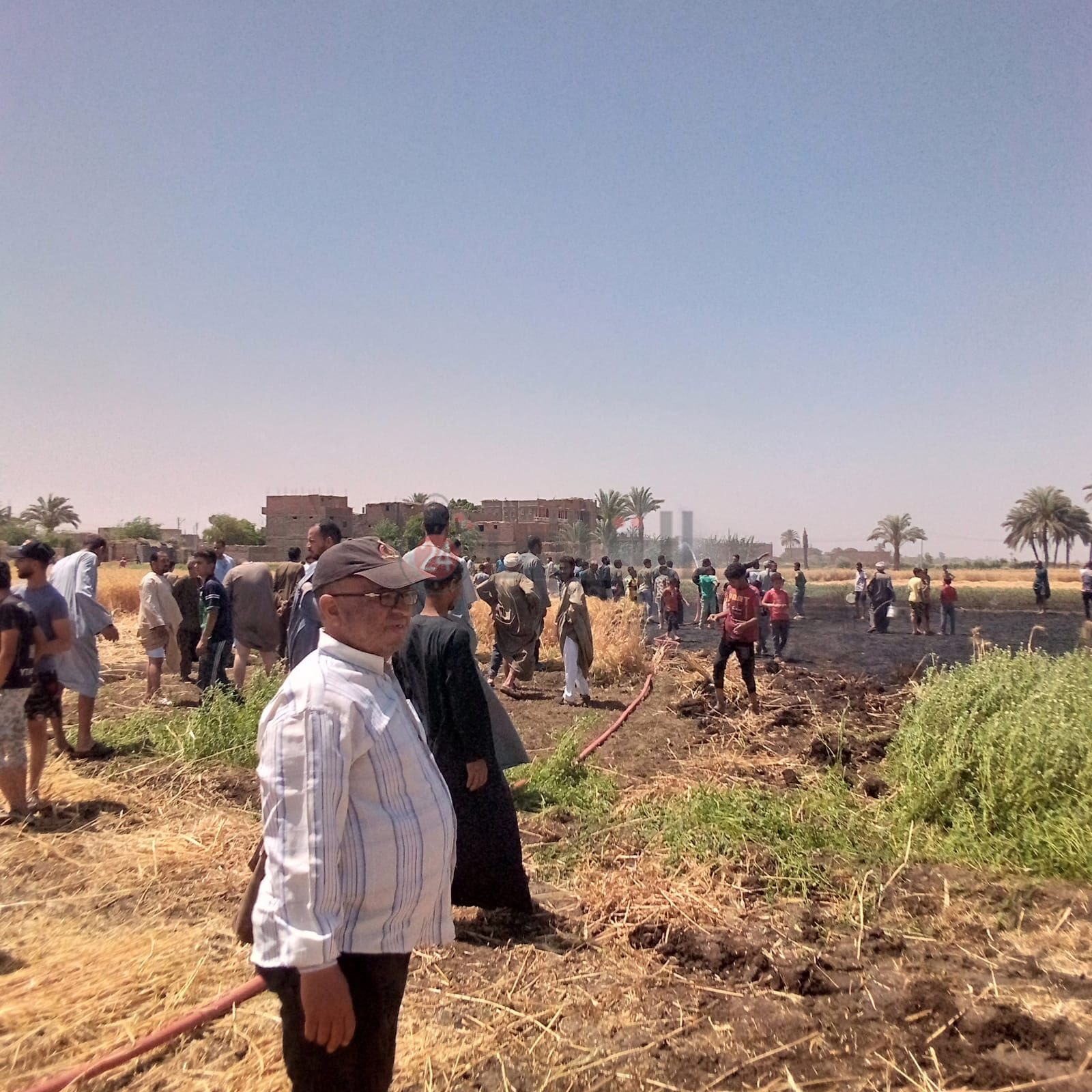 اندلاع حريق بالقمح بأسيوط