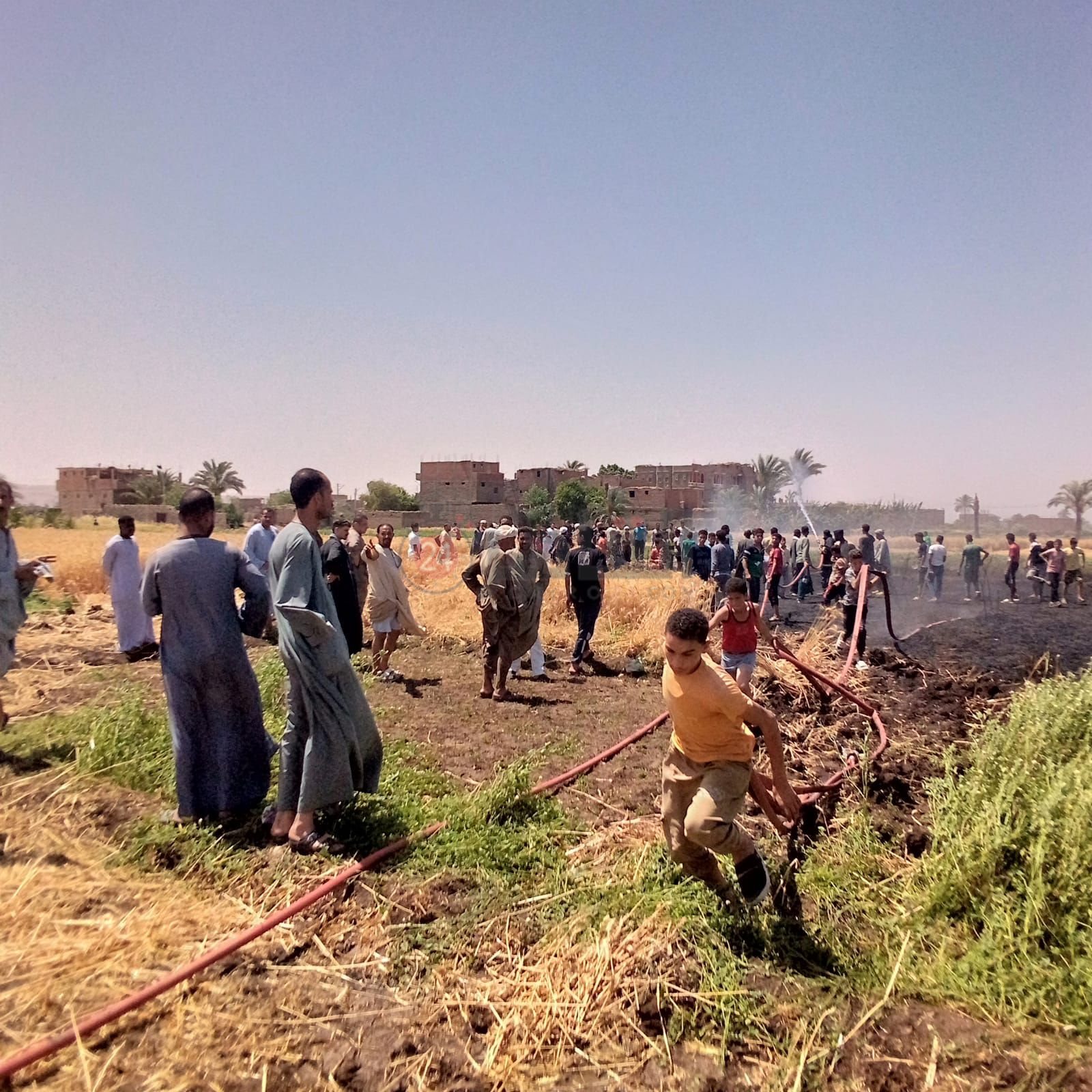 اندلاع حريق بالقمح بأسيوط