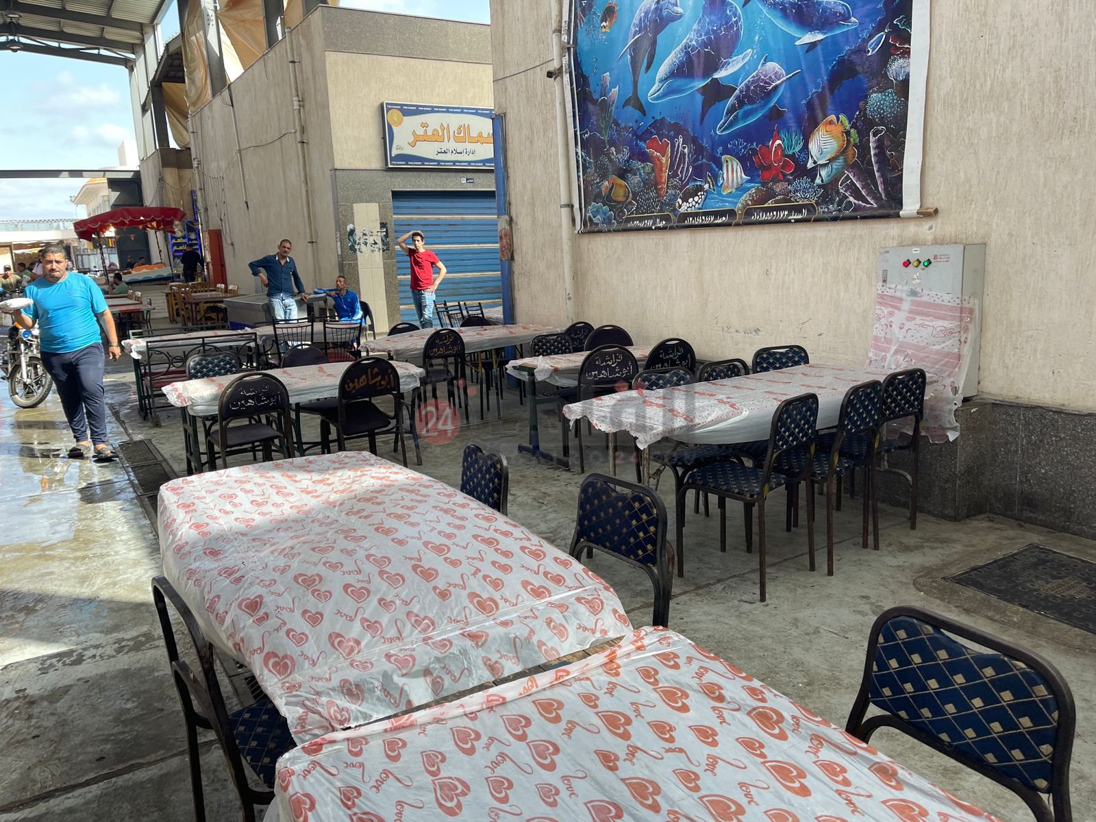 اسواق الأسماك ببورسعيد 