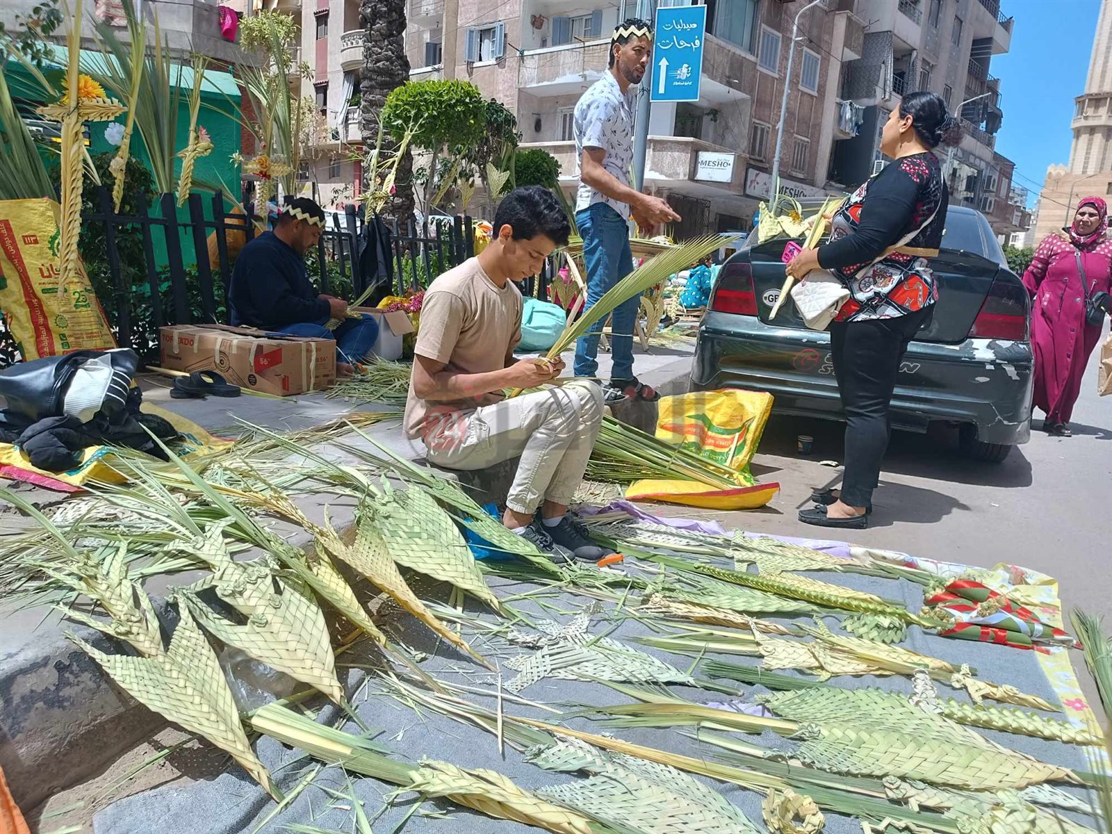 انتشار السعف بشوارع الإسكندرية