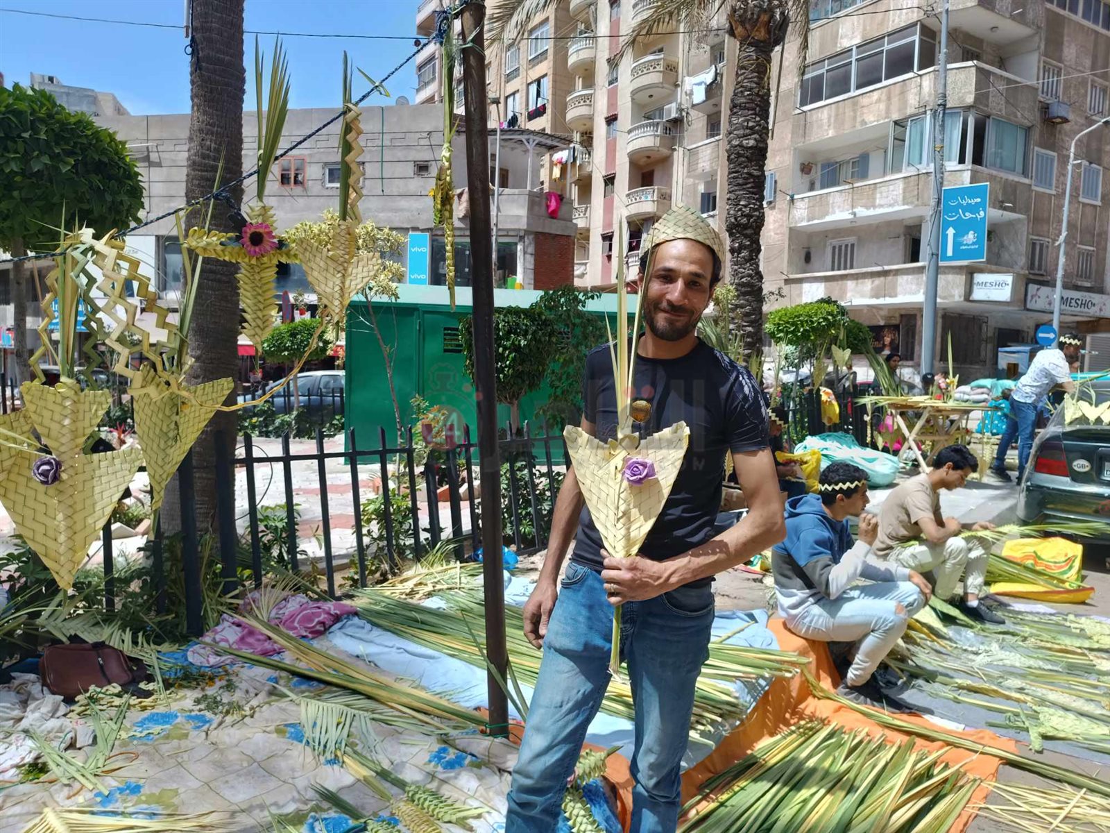 انتشار السعف بشوارع الإسكندرية