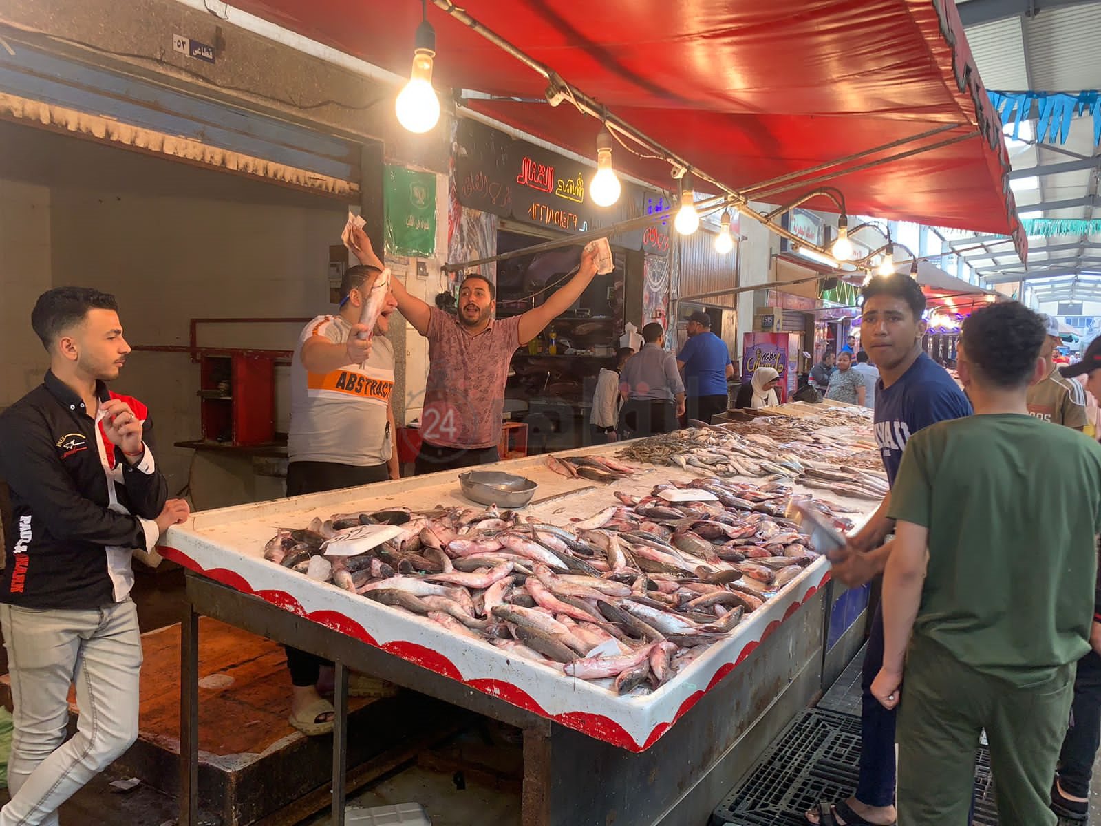 سوق الأسماك ببورسعيد 