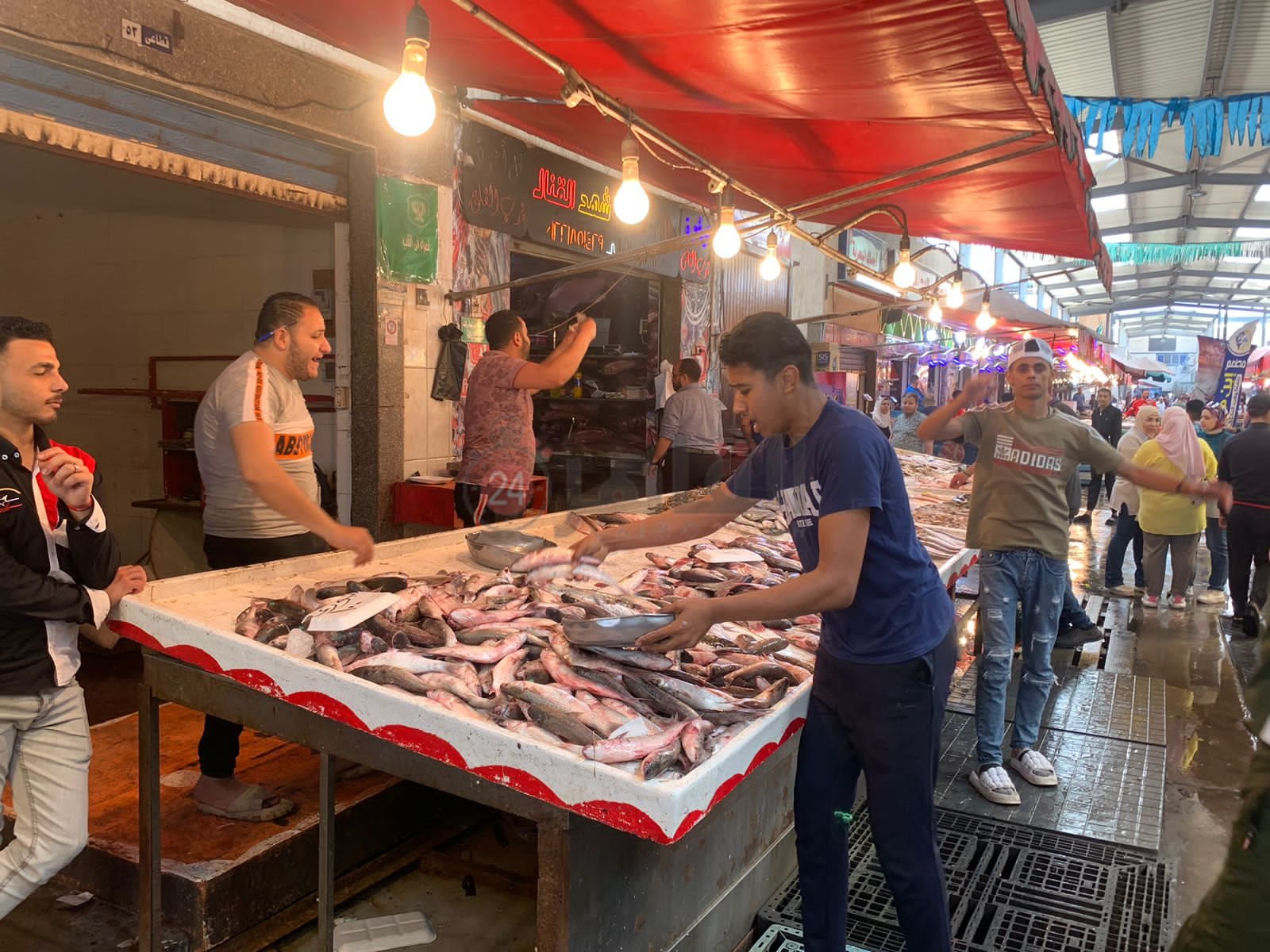 سوق الأسماك ببورسعيد 