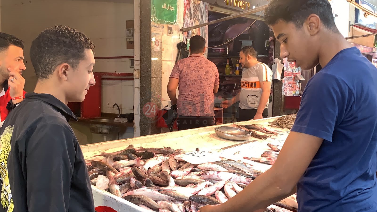 سوق الأسماك ببورسعيد 