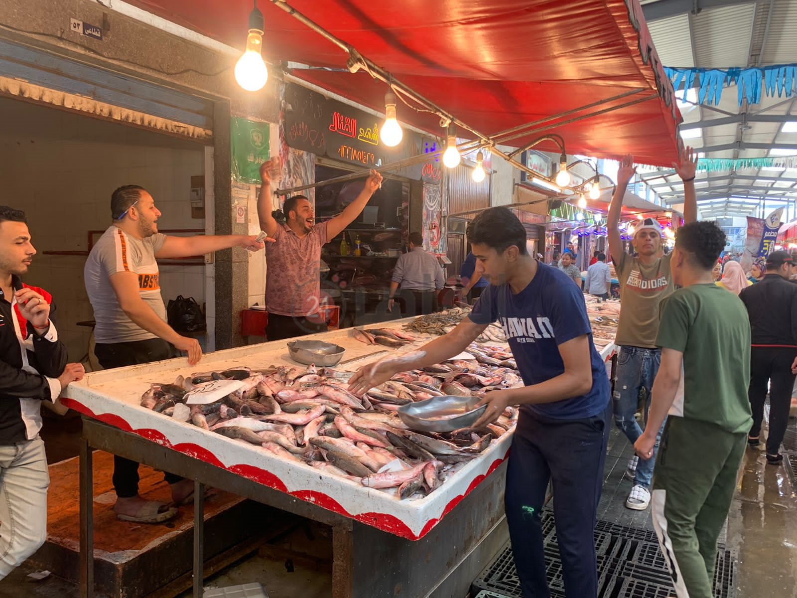 سوق الأسماك ببورسعيد 