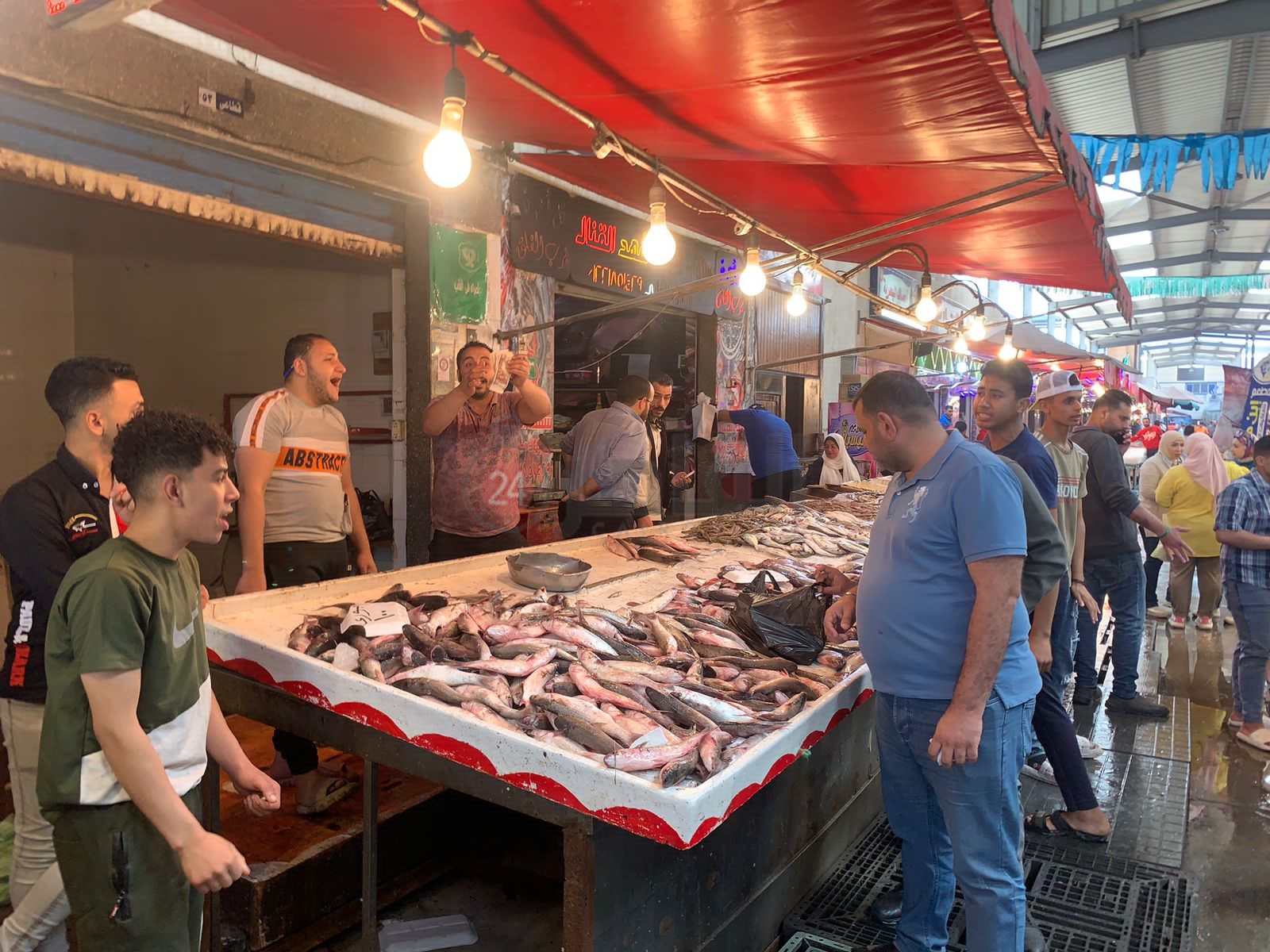سوق الأسماك ببورسعيد 