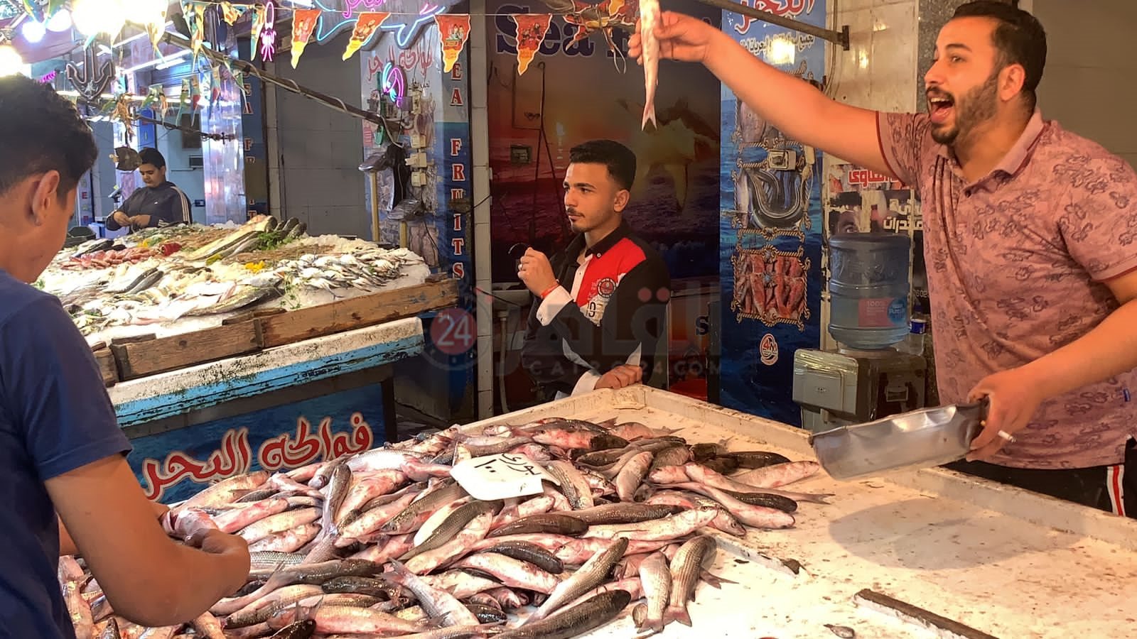 سوق الأسماك ببورسعيد 
