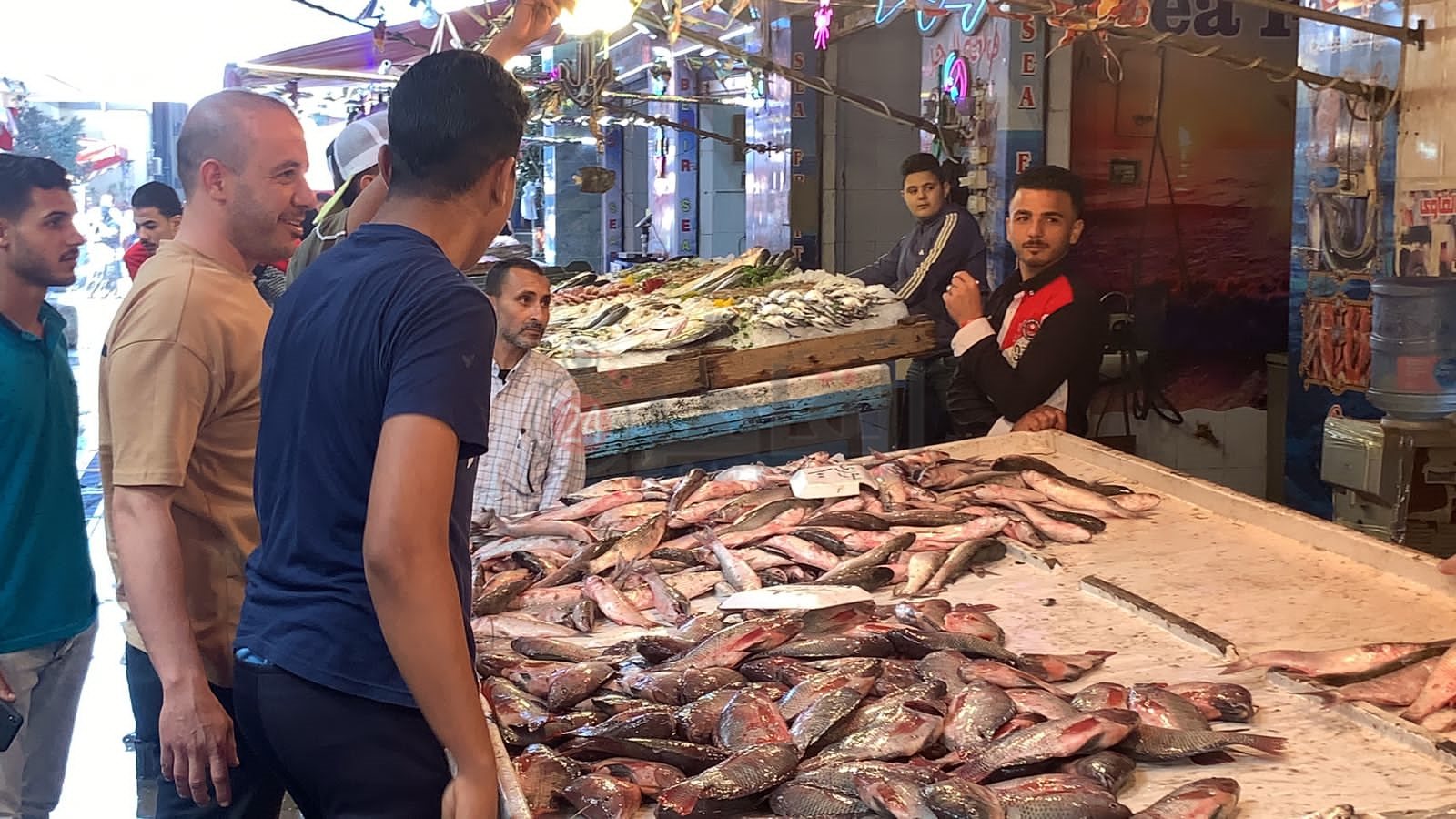 سوق الأسماك ببورسعيد 