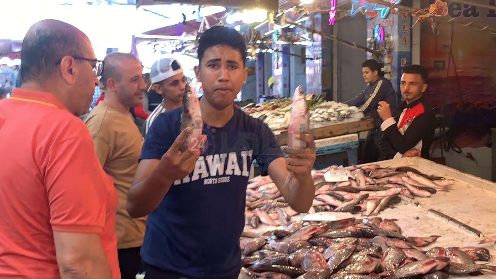 سوق الأسماك ببورسعيد 