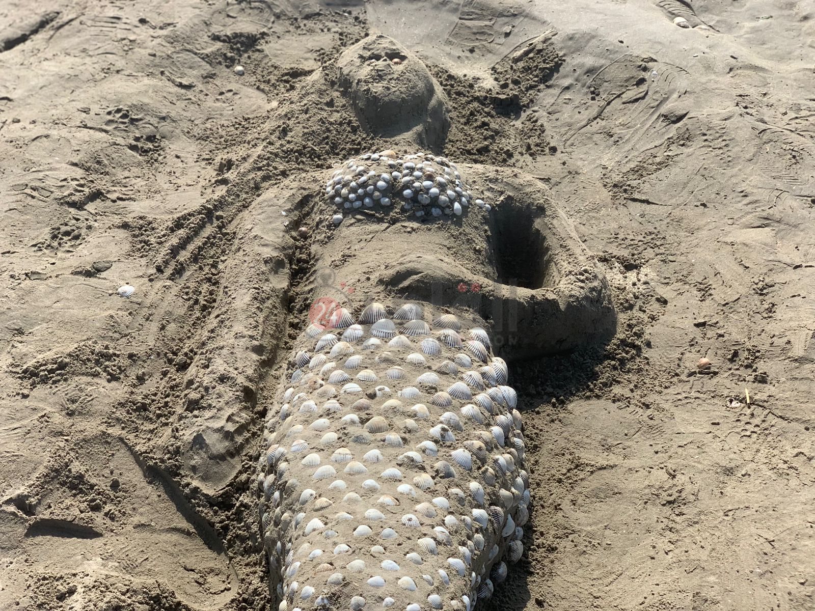 مهرجات للنحت علي الرمال