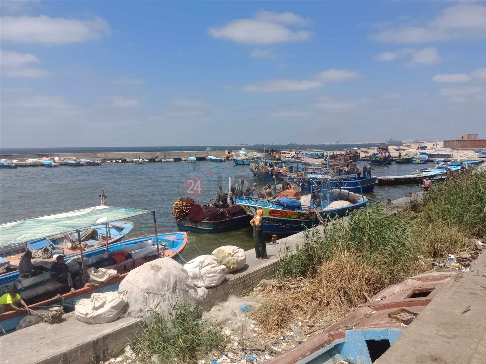 مزاد السمك على ضفاف بحر الماكس 