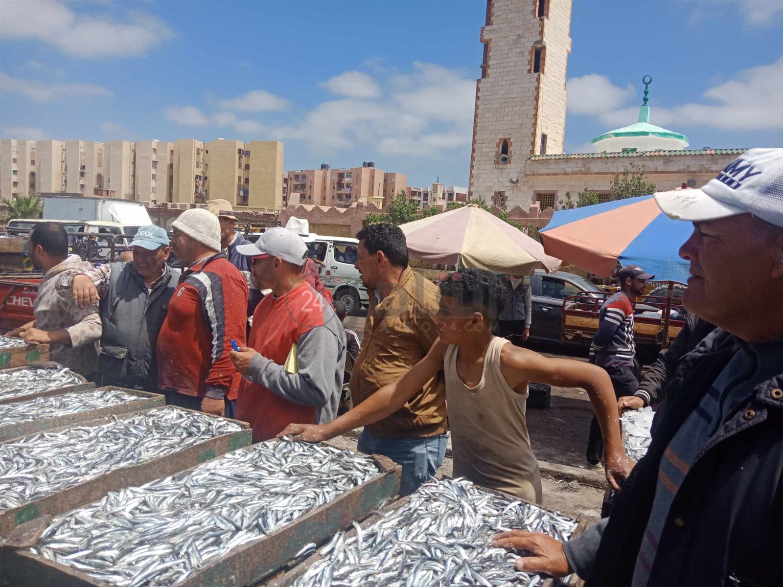 مزاد السمك على ضفاف بحر الماكس