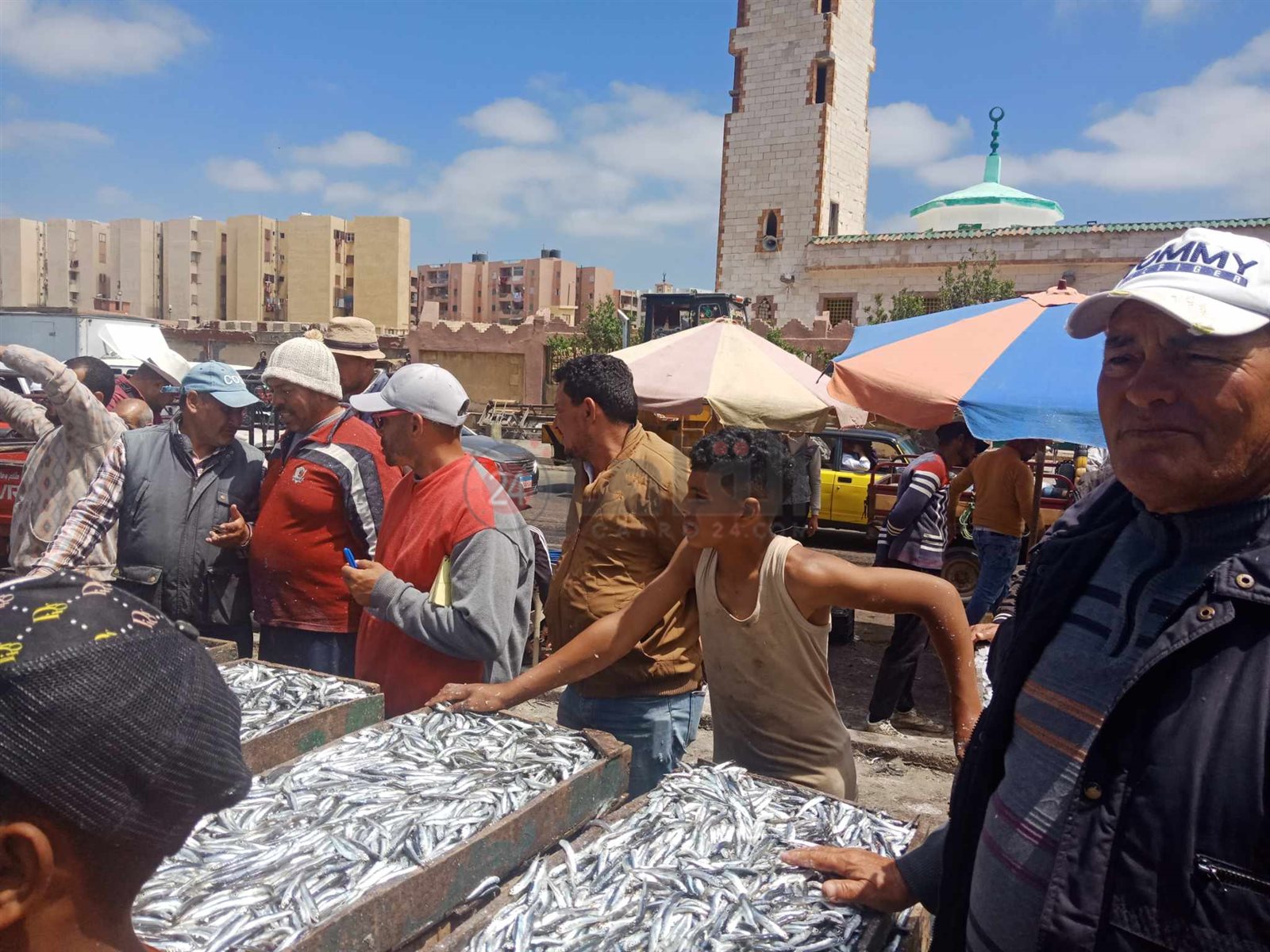 مزاد السمك على ضفاف بحر الماكس