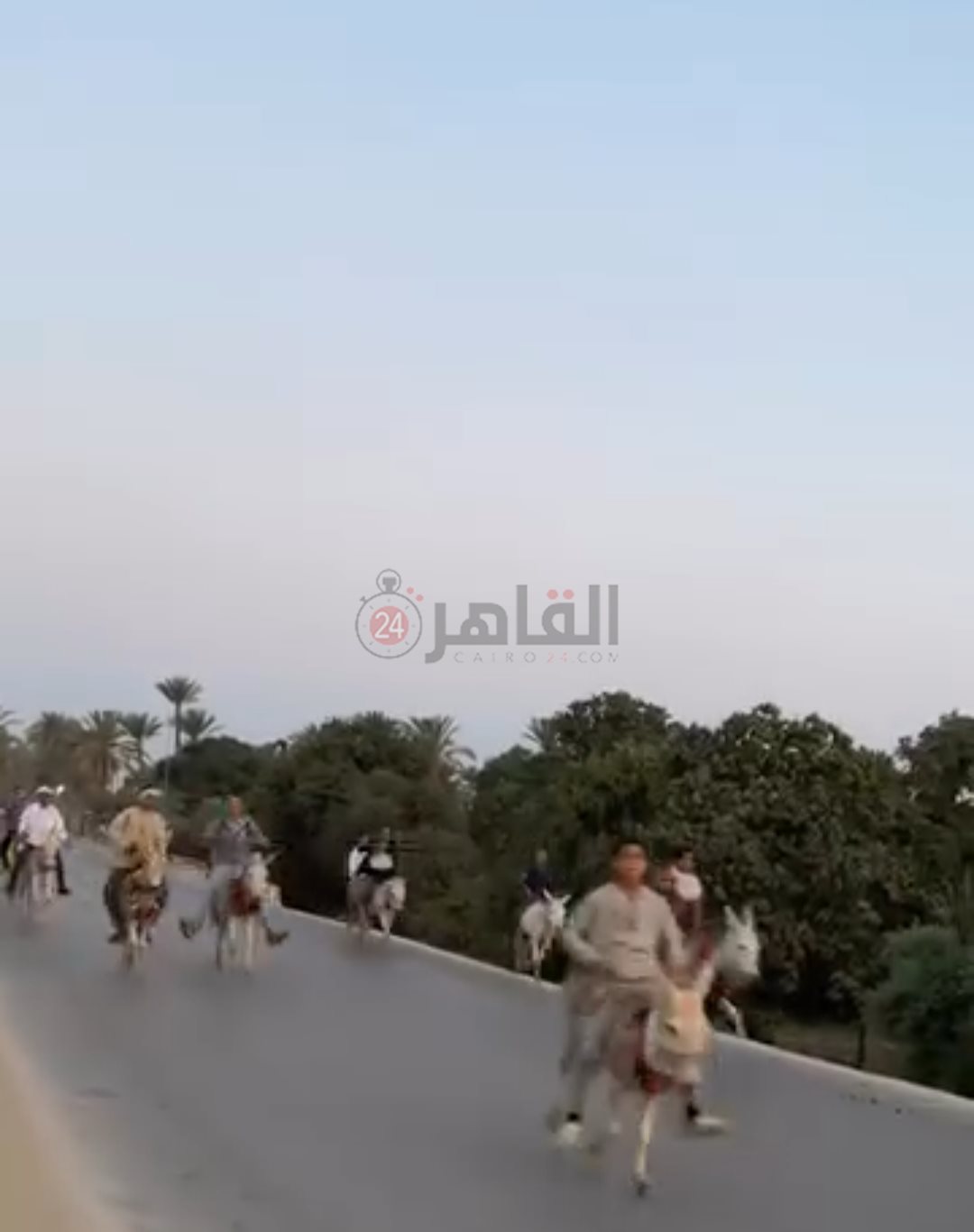 أغرب سباقات العالم - سباق الحمير