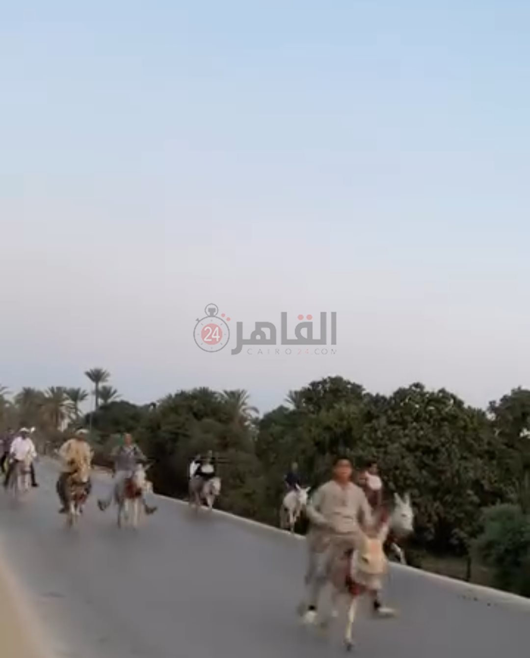 أغرب سباقات العالم - سباق الحمير