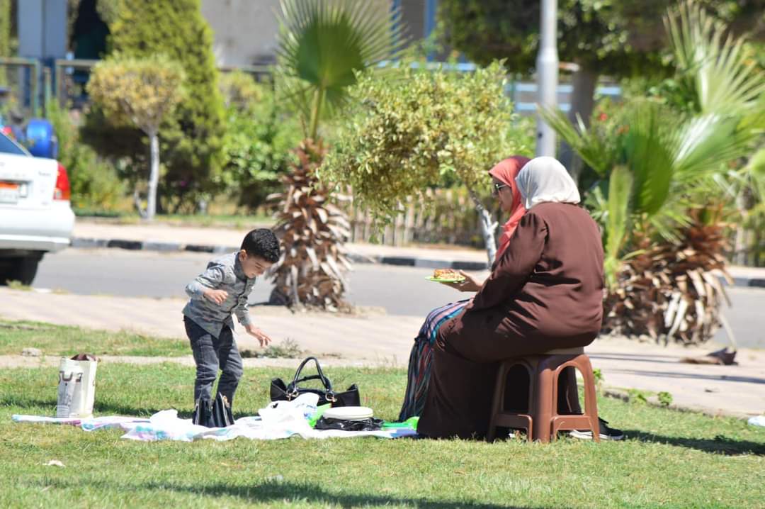 حدائق ومنتزهات بورفؤاد