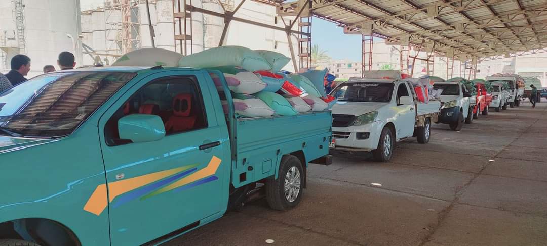 توريد القمح ببورسعيد 