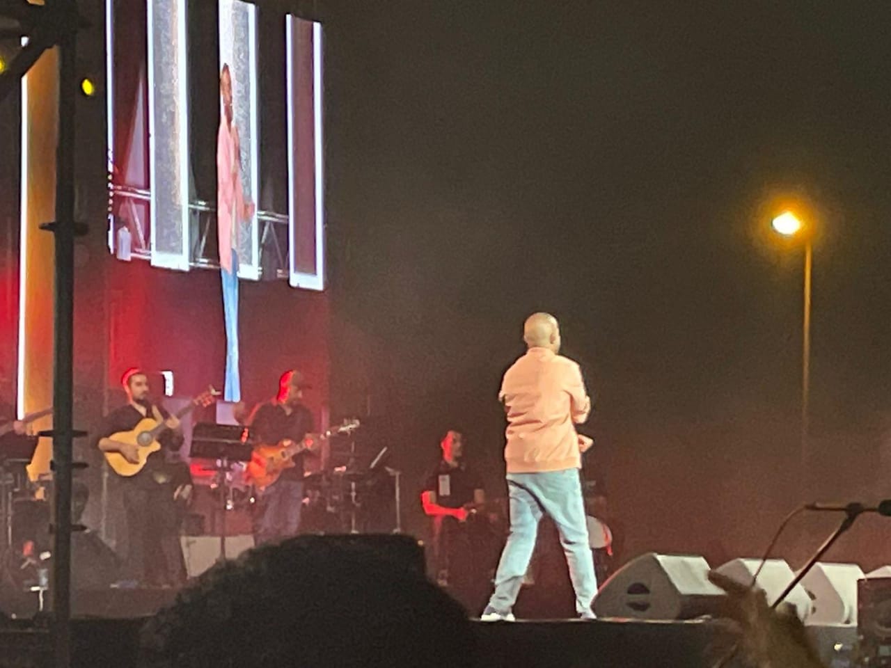 حفل تامر عاشور والعسيلي في فاميلي بارك (2)