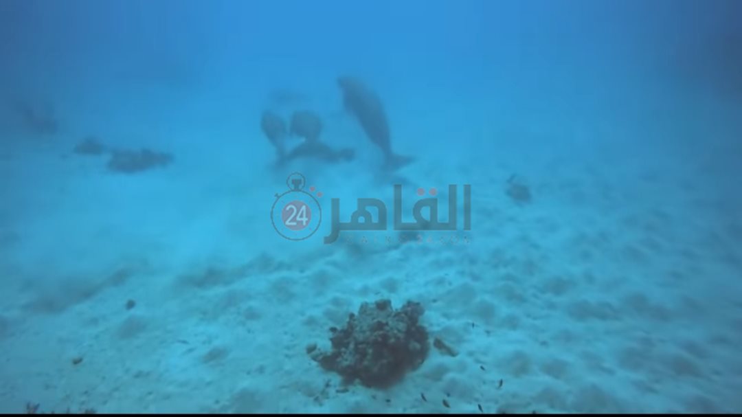 IMG_٢٠٢٤٠٥١٤_١٠٣٨٤٦