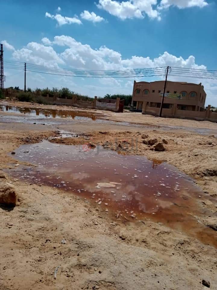 بوار عشرات الأفدنة بسبب ارتفاع منسوب المياه الجوفية في عزبة الخمسين بالفيوم
