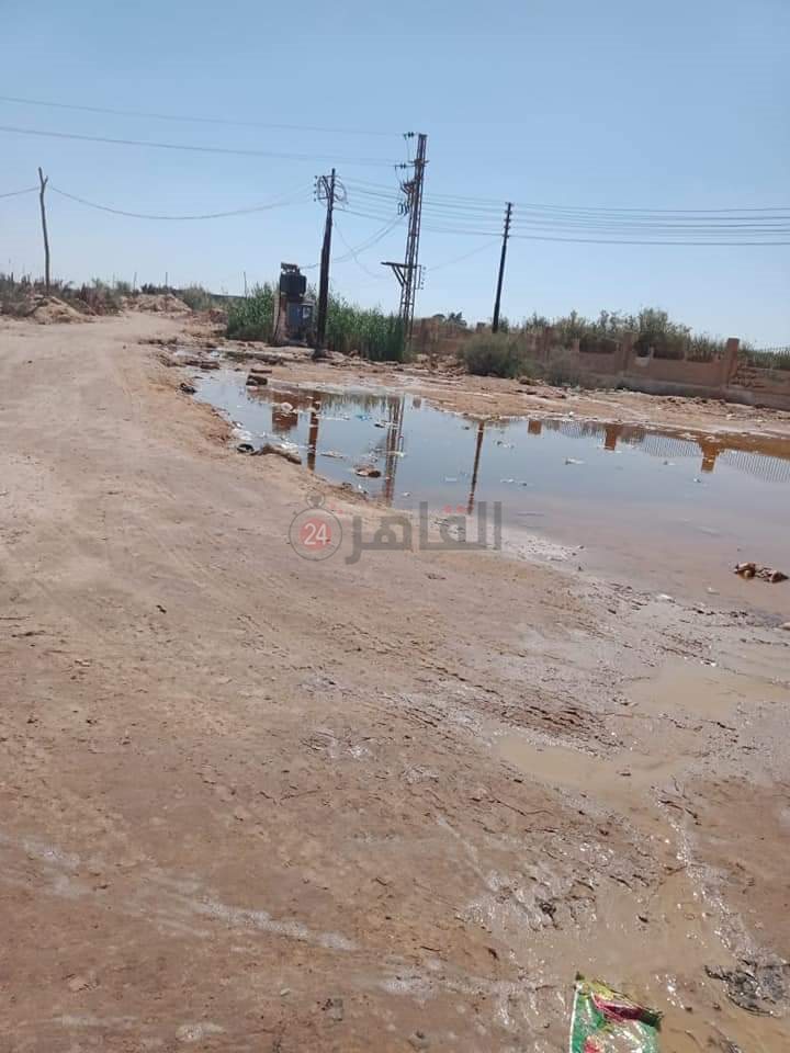 بوار عشرات الأفدنة بسبب ارتفاع منسوب المياه الجوفية في عزبة الخمسين بالفيوم