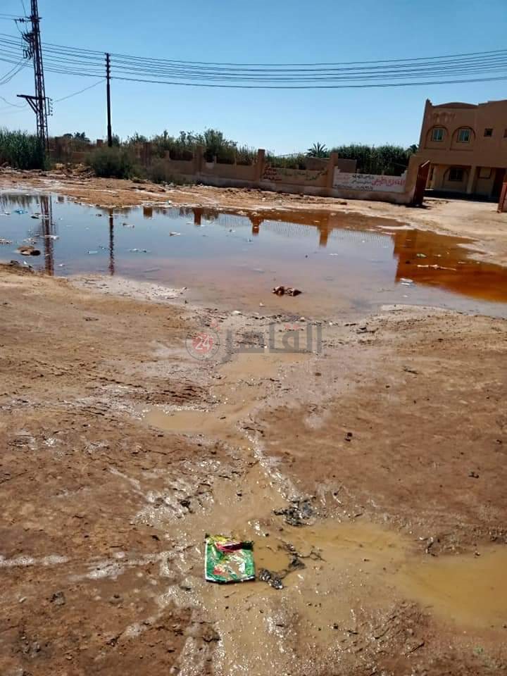 بوار عشرات الأفدنة بسبب ارتفاع منسوب المياه الجوفية في عزبة الخمسين بالفيوم
