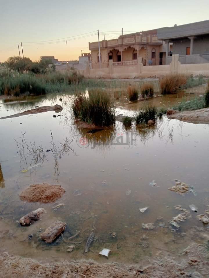 بوار عشرات الأفدنة بسبب ارتفاع منسوب المياه الجوفية في عزبة الخمسين بالفيوم