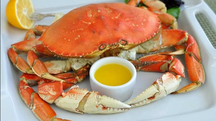 طريقة عمل الكابوريا بالشوربة