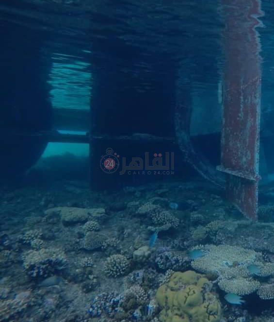 IMG_٢٠٢٤٠٥٢٩_١٢٤١٥٥