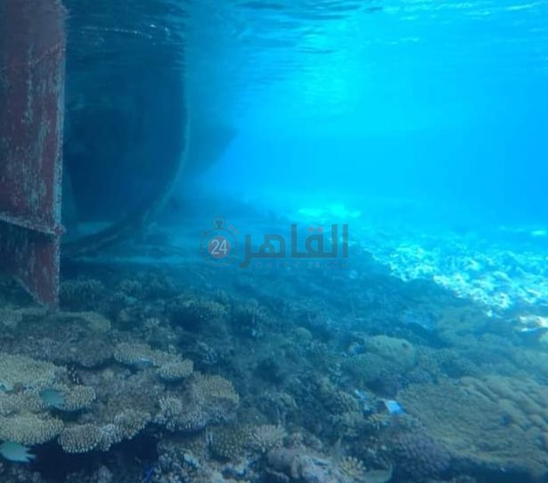 IMG_٢٠٢٤٠٥٢٩_١٢٤١٣١