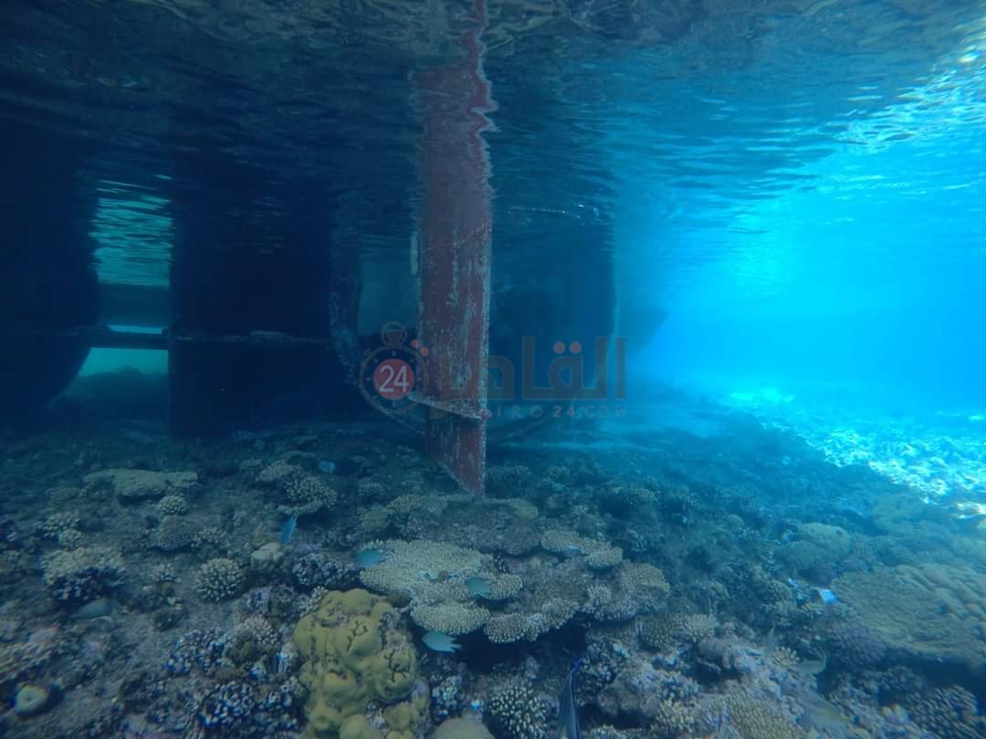 FB_IMG_1716962885297