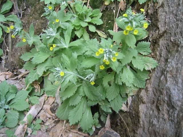 images - 2024-05-10T202220.451