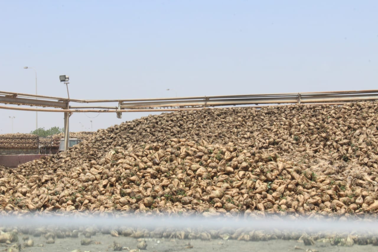 وكيل زراعة الفيوم بتفقد توريد محصول بنجر السكر | صور