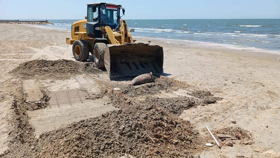 FB_IMG_1717757644127