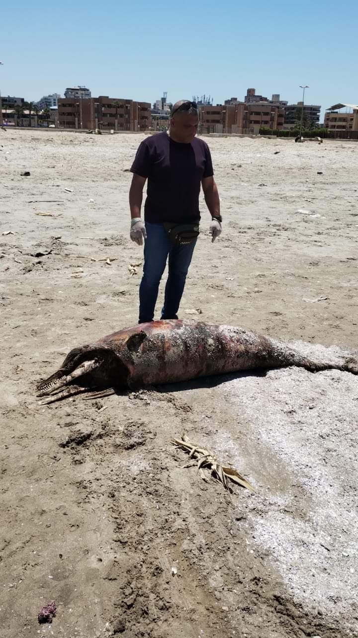 FB_IMG_1717757638027