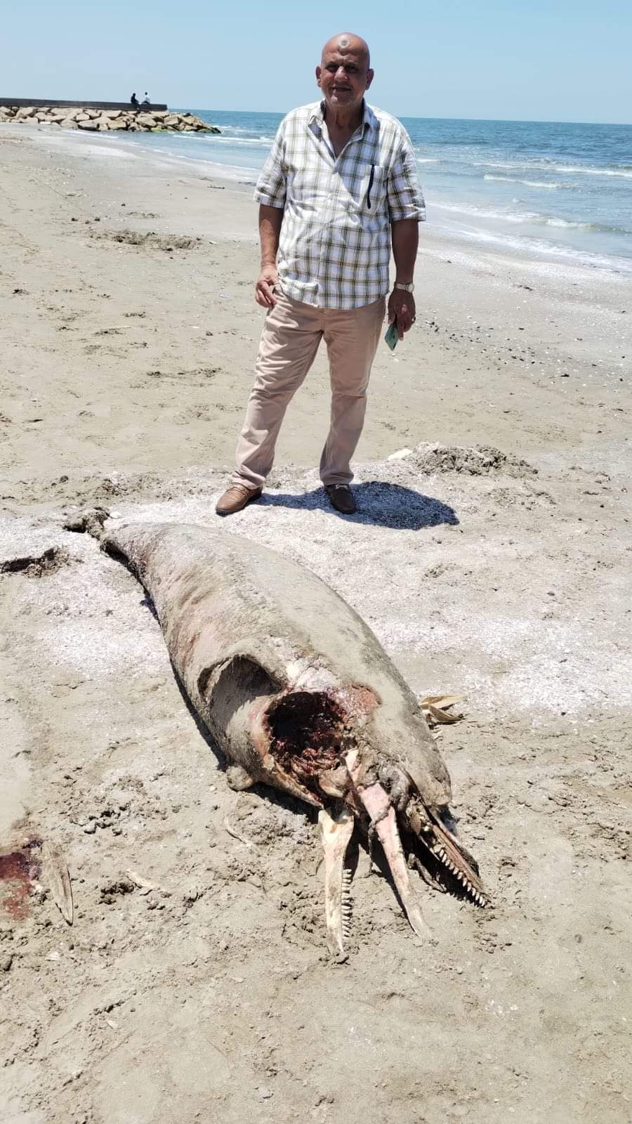 FB_IMG_1717757633498