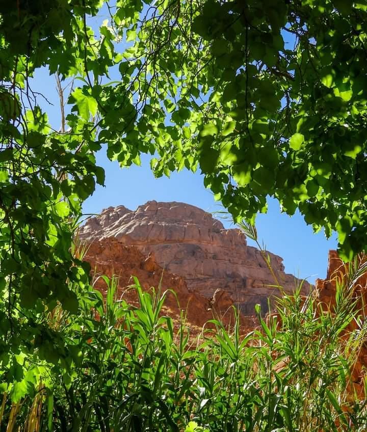 وادي جبال بسانت كاترين