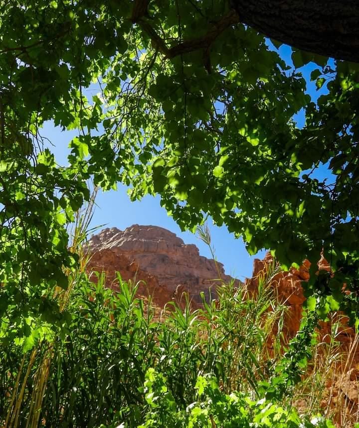 وادي جبال بسانت كاترين