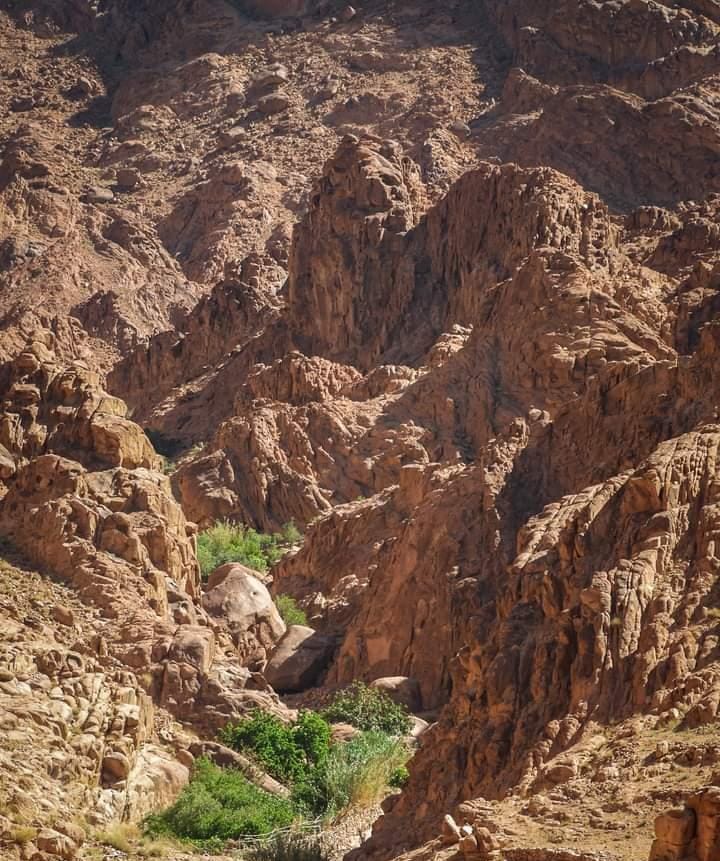 وادي جبال بسانت كاترين