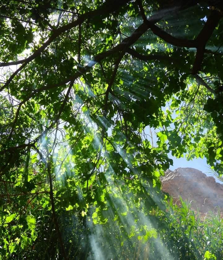 وادي جبال بسانت كاترين