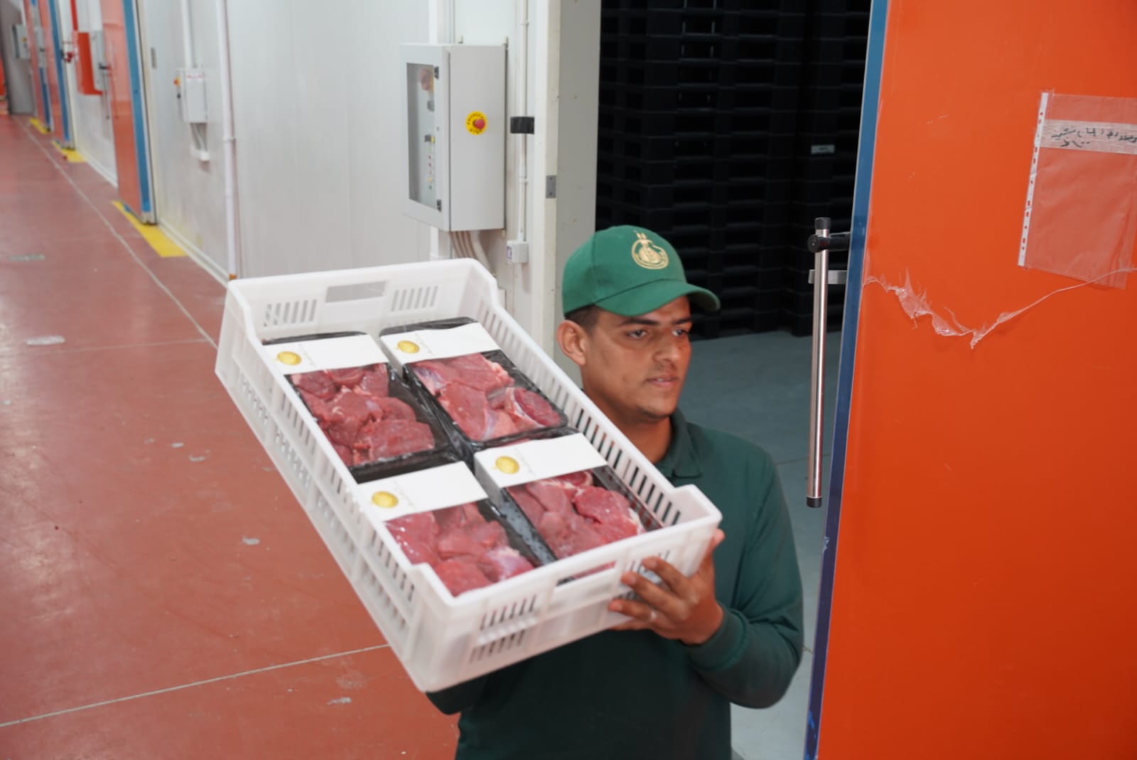 وجبات إطعام للأسر الأولى بالرعاية