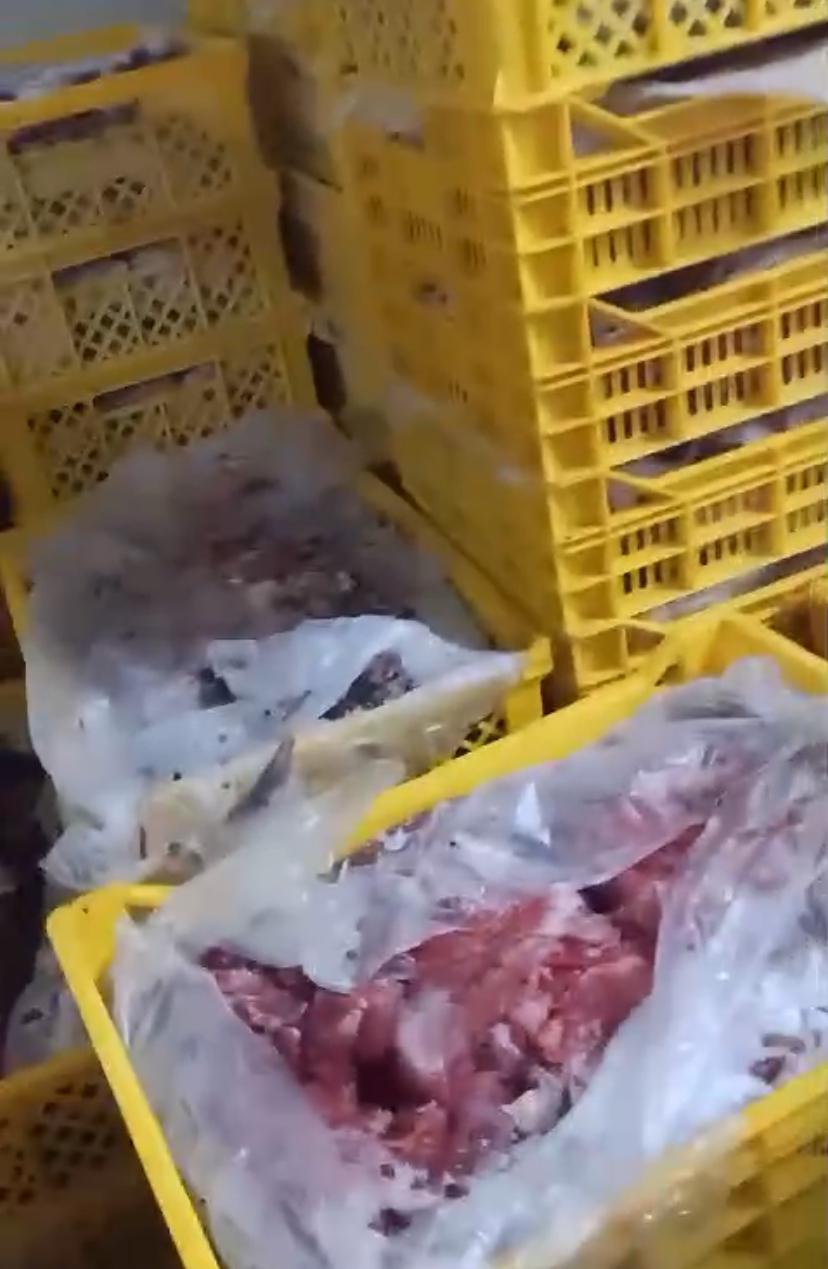 ضبط لحوم فاسدة داخل شركة للصناعات الغذائية في حملة تموينية بالفيوم