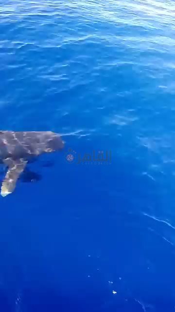 IMG_٢٠٢٤٠٧٠١_١٢٢٤٤٩٥٩