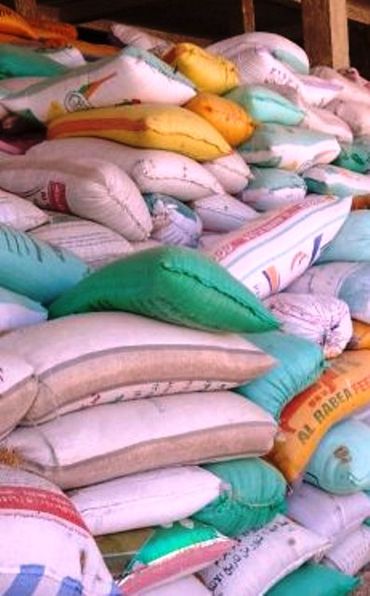 توريد القمح في الشرقية 1