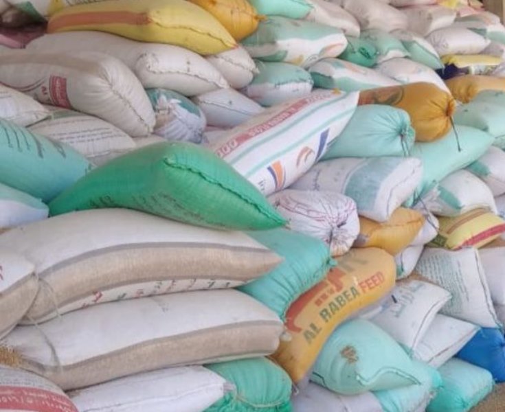 توريد القمح في الشرقية 02