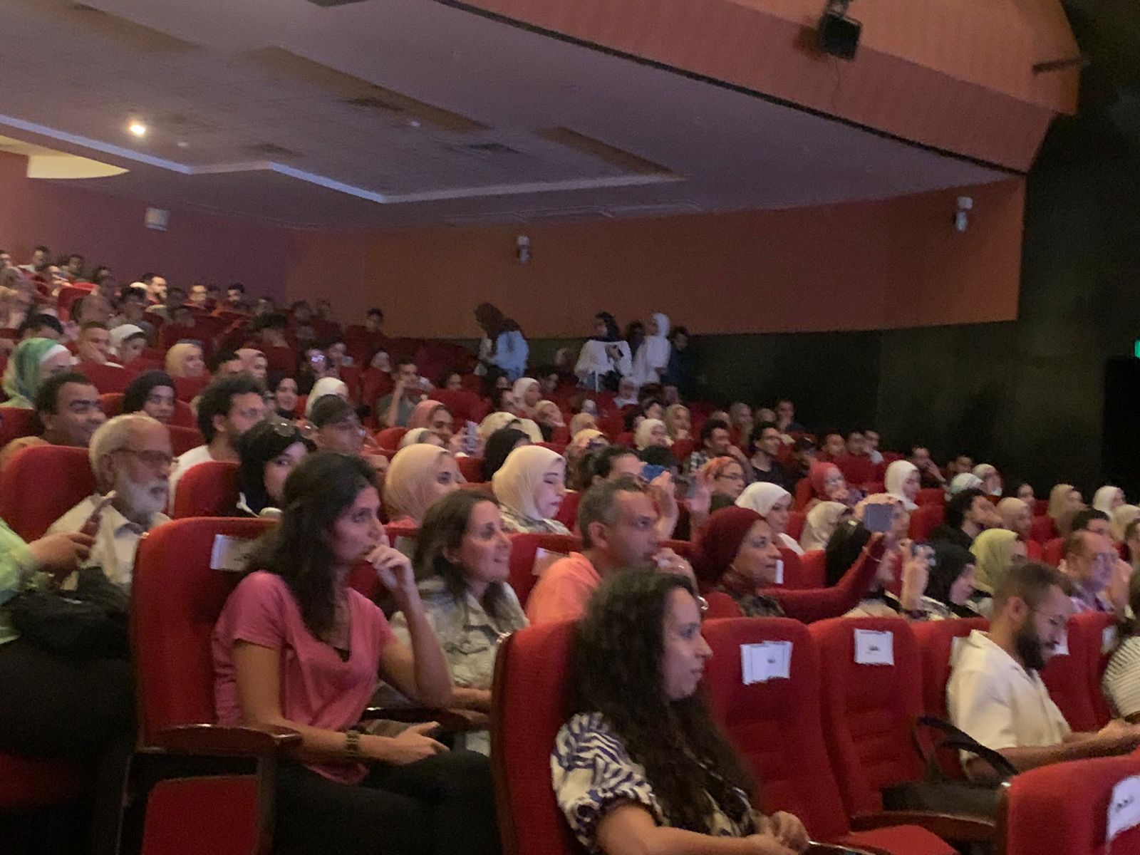 ليلة سينمائية ببورسعيد