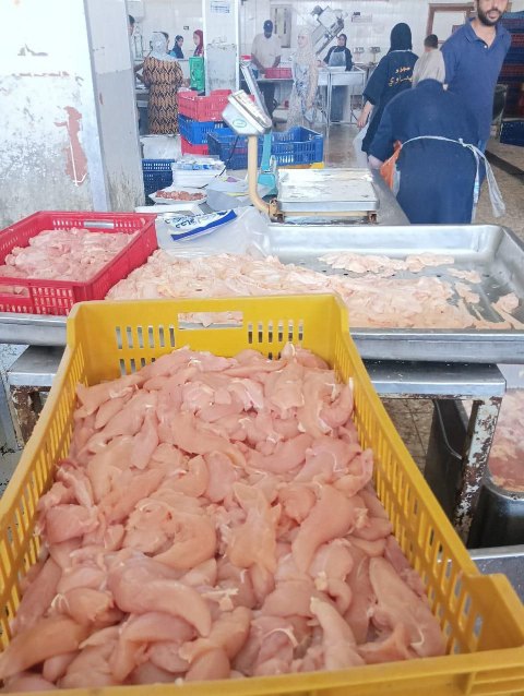 جانب من المضبوطات 04