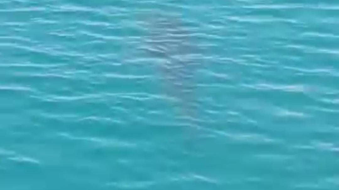 مواصلات العين السخنة من الجيزة