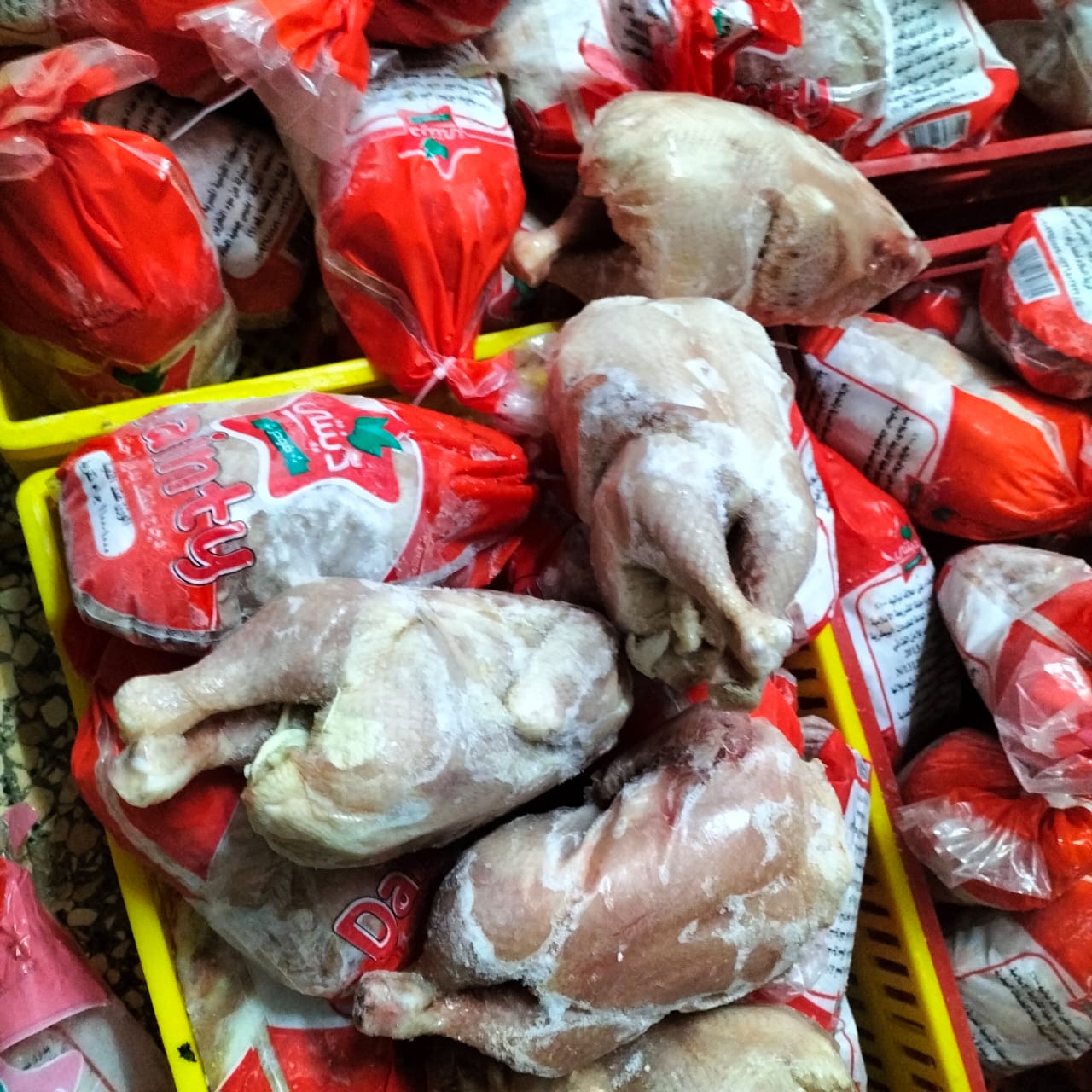 المضبوطات 01