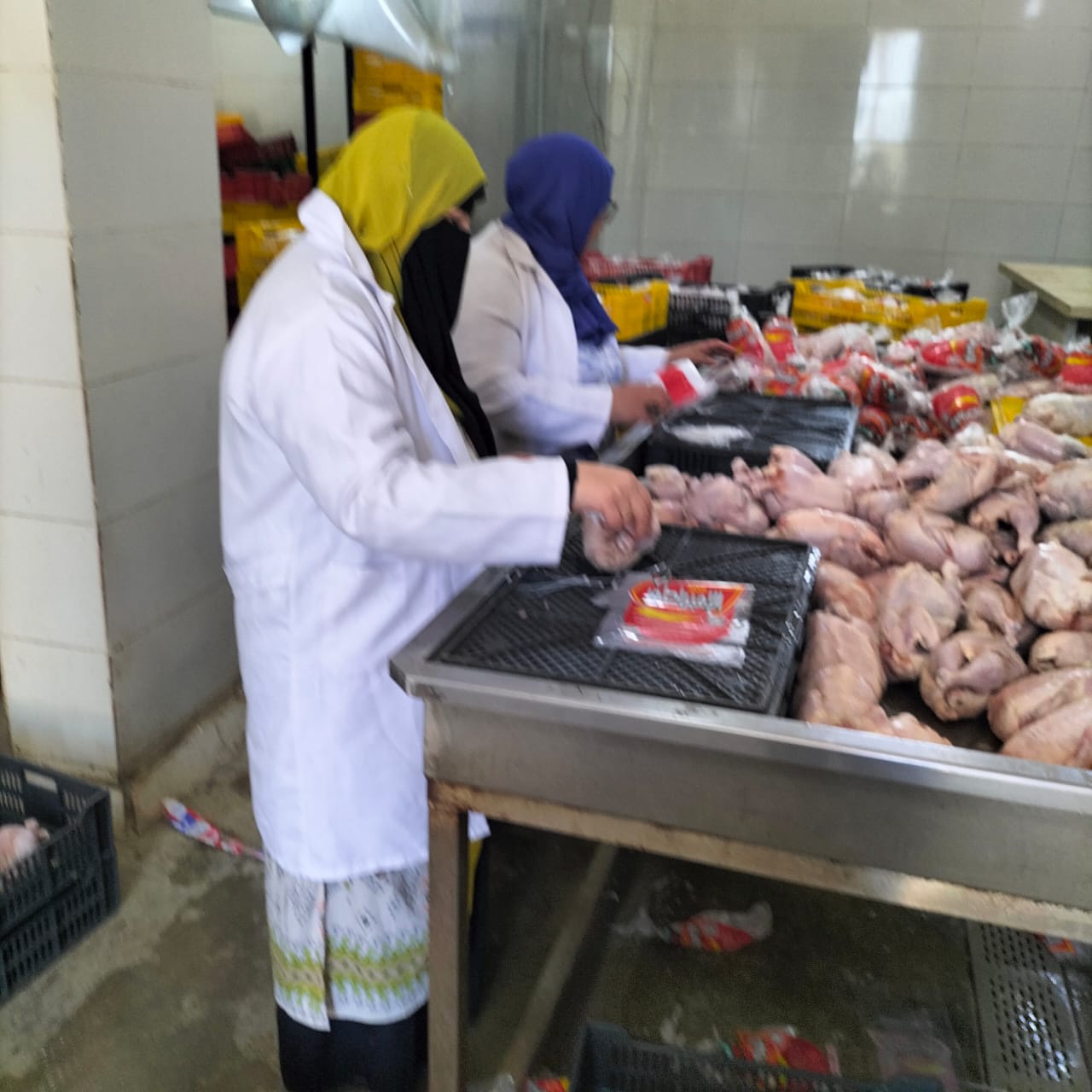 المضبوطات 04